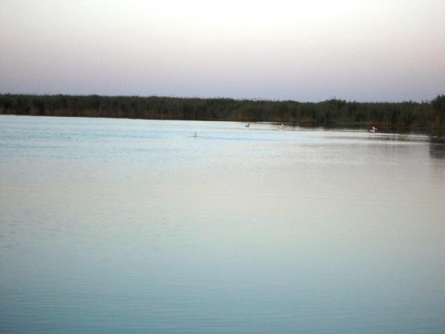 Doar ... NATURA - 3 - dsc09912.JPG